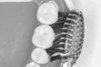 Bass Technik_1 small