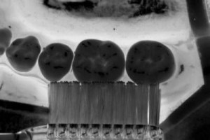 zahnbuerstefalschneg